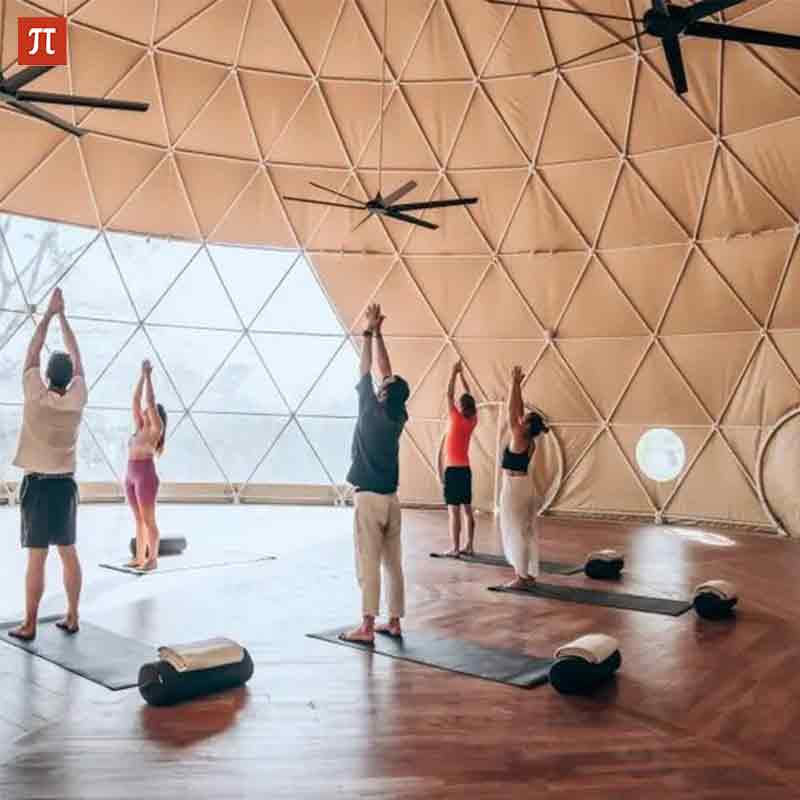 Outdoor Furniture Exhibition - 9m Geodesic Tent Dome Tent Luxury